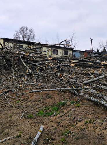 Usuwanie skutków burz i nawałnic - Jan Pieron