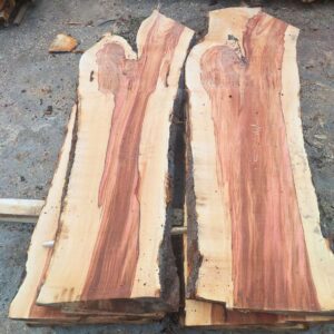 Produkcja wyrobów tartacznych