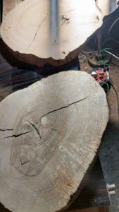 produkcja wyrobów tartacznych Świętokrzyskie