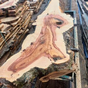 Produkcja wyrobów tartacznych Małopolska