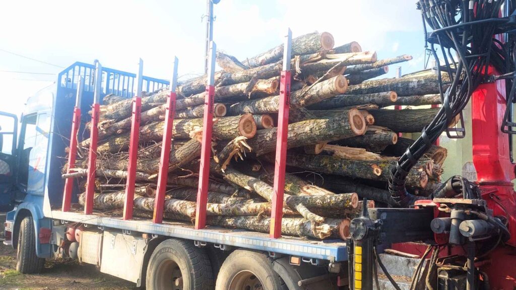Transport drewna Świętokrzyskie
