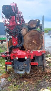 Transport drewna i gałęzi