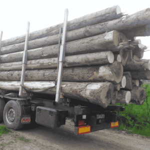 Jan Pieron transport drewna