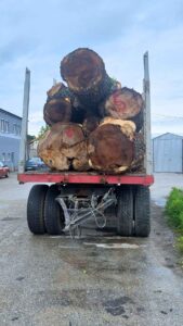 Transport drewna Jan Pieron