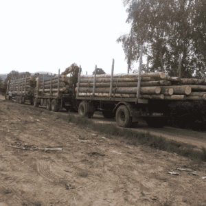 Transport drewna Śląsk