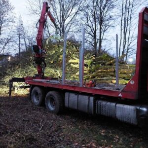 Pojazd - wywóz i utylizacja gałęzi