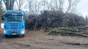 Wycinka gałęzi Małopolska