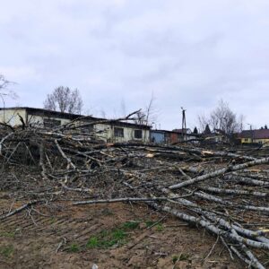 Usuwanie skutków burz i nawałnic - Jan Pieron
