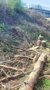 Usuwanie skutków nawałnic