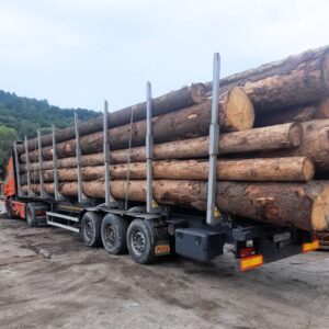 Transport i wycinka drzew